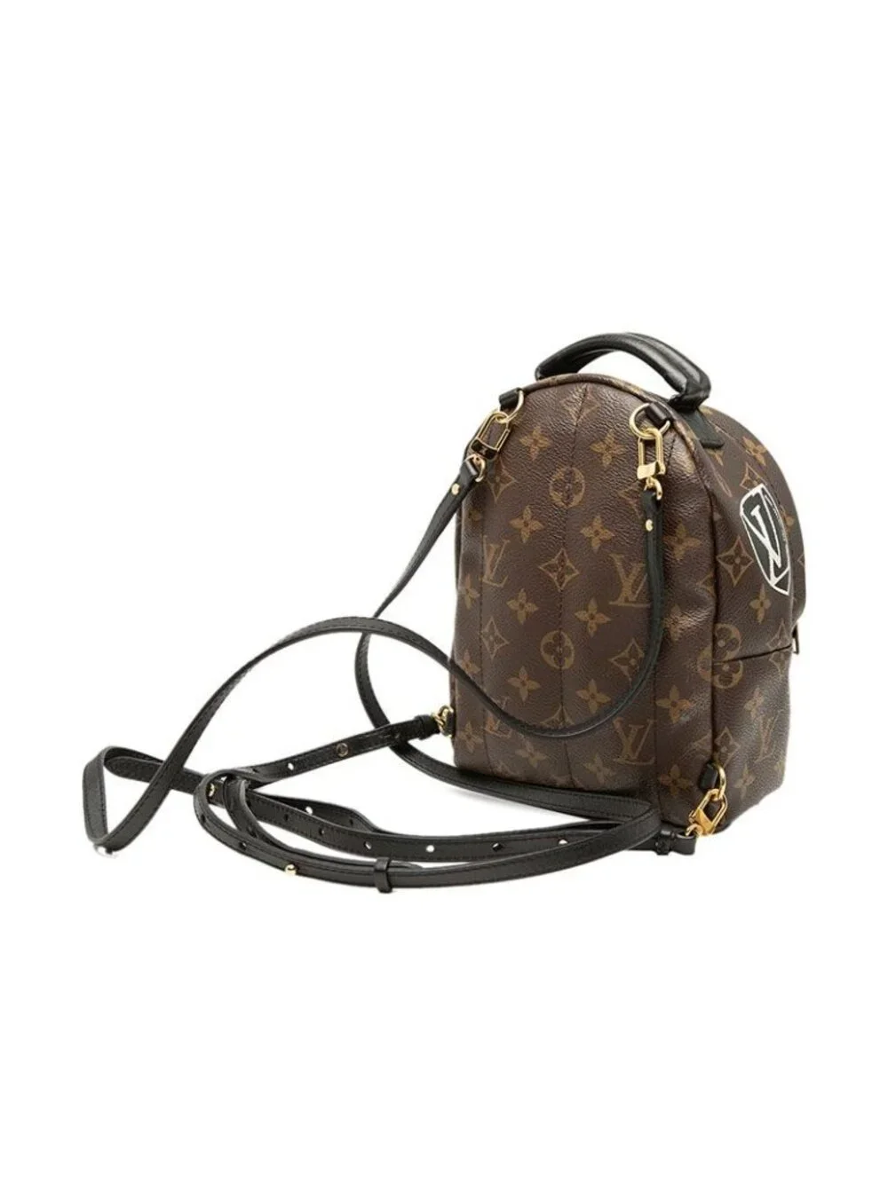 Louis Vuitton Monogram Palm Springs Mini Backpack Brown Leather